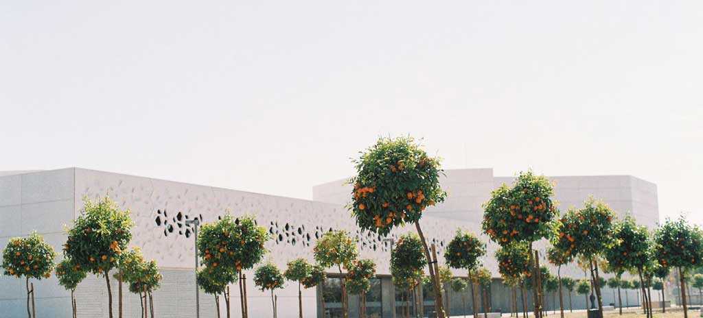 Concrete wandering in and out of C3A Cordoba:bitter oranges on the roadside 哥多華當代美術中心漫遊紀錄:僅能拾起一個個隨街掉落的橙子