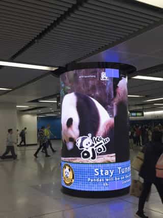 Real Screenshot 20241215-185931